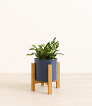 Load image into Gallery viewer, Deep Navy stand:light