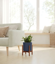 Load image into Gallery viewer, Deep Navy stand:walnut