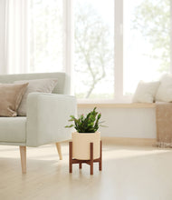 Load image into Gallery viewer, Cream stand:walnut