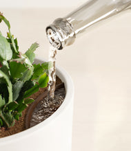 Load image into Gallery viewer, White stand:all