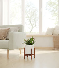 Load image into Gallery viewer, White stand:walnut