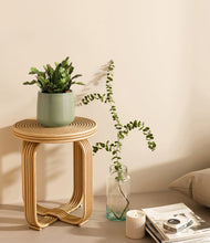 Load image into Gallery viewer, Turquoise