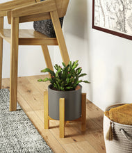 Load image into Gallery viewer, Dark Olive stand:light