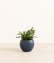 Load image into Gallery viewer, Deep Navy*****Profile