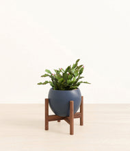 Load image into Gallery viewer, Deep Navy stand:walnut