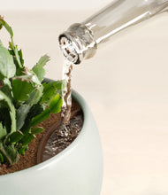 Load image into Gallery viewer, Deep Ocean stand:all