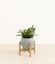 Load image into Gallery viewer, Deep Ocean stand:bamboo