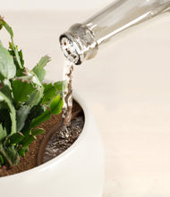 Load image into Gallery viewer, Shiny EggWhite stand:all