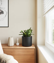 Load image into Gallery viewer, Black