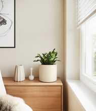 Load image into Gallery viewer, Cream