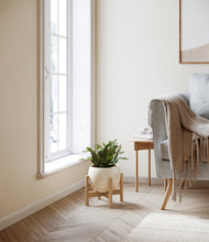 Load image into Gallery viewer, Shiny EggWhite stand:bamboo