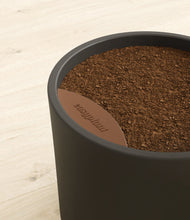 Load image into Gallery viewer, Dark Olive stand:all