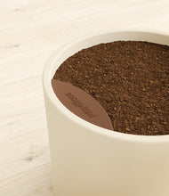 Load image into Gallery viewer, Cream