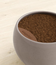 Load image into Gallery viewer, Winter Clouds stand:all