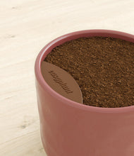 Load image into Gallery viewer, Hammered Rose Pink stand:all