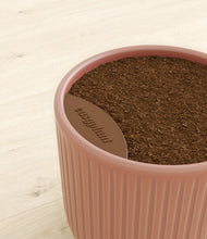 Load image into Gallery viewer, Striped Rose Pink stand:all