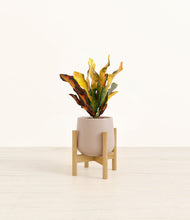 Load image into Gallery viewer, Eternal Gray stand:bamboo