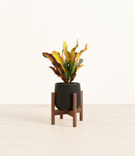 Load image into Gallery viewer, Black stand:walnut
