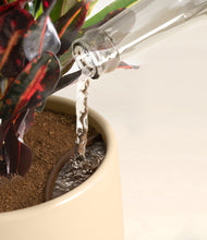 Load image into Gallery viewer, Almond Green stand:all