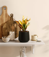 Load image into Gallery viewer, Black