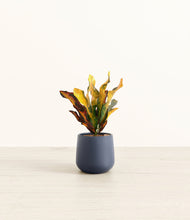 Load image into Gallery viewer, Deep Navy