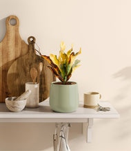 Load image into Gallery viewer, Turquoise