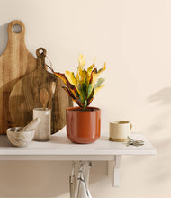 Load image into Gallery viewer, Glossy Red