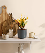 Load image into Gallery viewer, Iron Gray