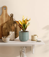 Load image into Gallery viewer, Reactive Aqua