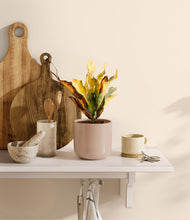 Load image into Gallery viewer, Sandy Pink