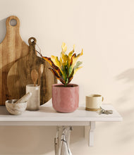 Load image into Gallery viewer, Hammered Rose Pink