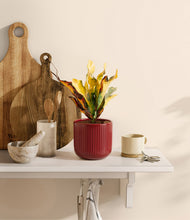 Load image into Gallery viewer, Striped Cherry Red