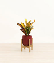 Load image into Gallery viewer, Striped Cherry Red stand:bamboo