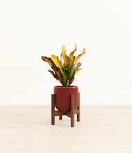 Load image into Gallery viewer, Striped Cherry Red stand:walnut