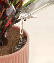 Load image into Gallery viewer, Striped Rose Pink stand:all