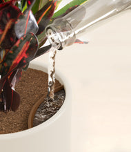 Load image into Gallery viewer, Cotton White stand:all