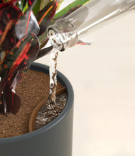 Load image into Gallery viewer, Iron Gray stand:all