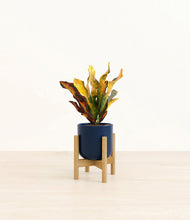Load image into Gallery viewer, Twilight Blue stand:bamboo