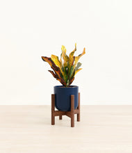 Load image into Gallery viewer, Twilight Blue stand:walnut