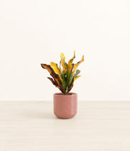 Load image into Gallery viewer, Hammered Rose Pink