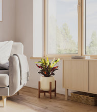 Load image into Gallery viewer, Almond Green stand:walnut