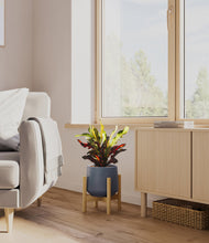 Load image into Gallery viewer, Deep Navy stand:bamboo