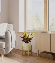 Load image into Gallery viewer, Turquoise stand:bamboo