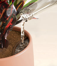 Load image into Gallery viewer, Calm Rose stand:all