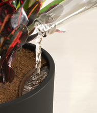 Load image into Gallery viewer, Black