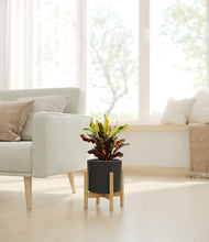 Load image into Gallery viewer, Black stand:bamboo