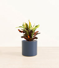 Load image into Gallery viewer, Deep Navy