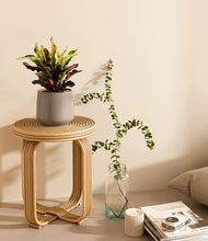 Load image into Gallery viewer, Eternal Gray