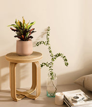 Load image into Gallery viewer, Gentle Pink