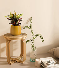 Load image into Gallery viewer, Mustard